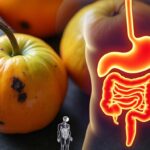 découvrez les risques sanitaires liés au kaki danger et apprenez les meilleures méthodes pour les éviter afin de préserver votre santé.